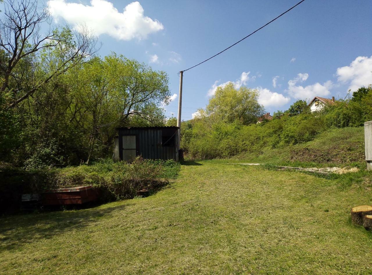 Apartman Miljkovic Arandjelovac Bagian luar foto